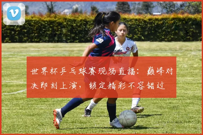 世界杯乒乓球赛现场直播:巅峰对决即刻上演,锁定精彩不容错过